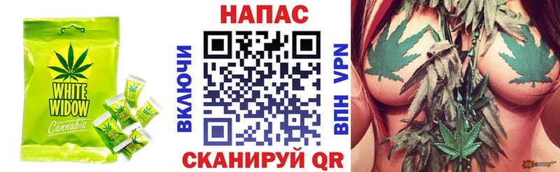 Canna-Cookies марихуана  как найти   Кизилюрт 