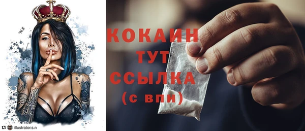 прущие крисы Заводоуковск