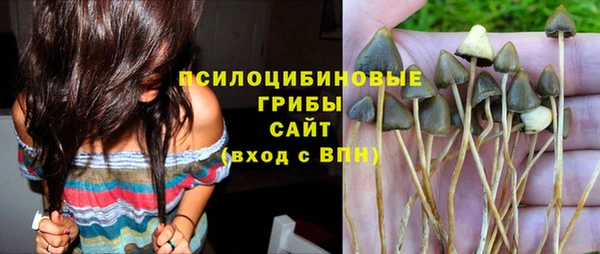 спайс Ельня
