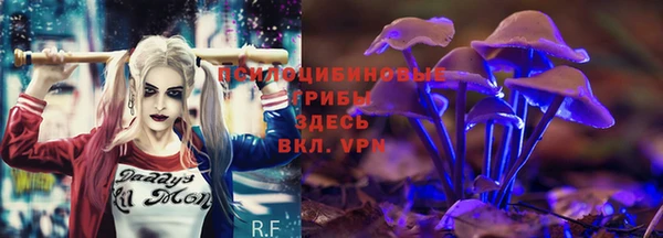 спайс Ельня
